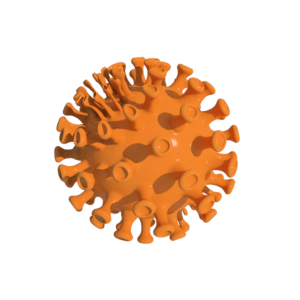 Covid 3D model