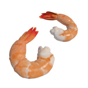 Shrimp 3d models