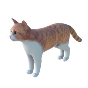 cat 3d models