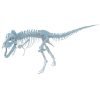 Skeleton rex 3d models